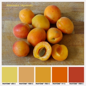 lacaccavella, foodcolors, colors, pantone, arancione, orange, albicocca, apricot