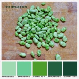 lacaccavella, foodcolors, colors, pantone, green, verde, fave, favabeans, boardbeans