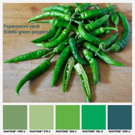 lacaccavella, foodcolors, colors, pantone, green, verde, peperoncini, greenpepper