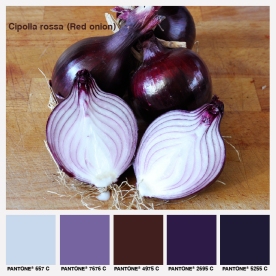 lacaccavella, foodcolors, colors, pantone, red, purple, rosso, viola, cipolla, onion