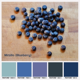 lacaccavella, foodcolors, colors, pantone, mirtillo, blueberry, blu, indaco