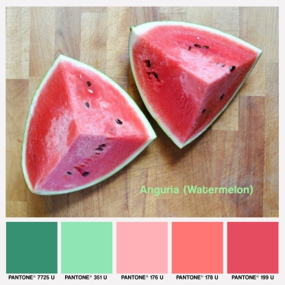 lacaccavella, foodcolors, colors, pantone, anguria, watermelon, watermelonpalette